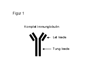 M-komponenten myelomatose Myelomatose Forening