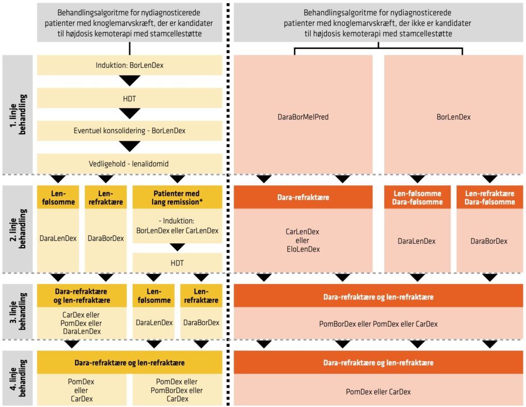 Diagram over behandlingslinjer til de ældre patienter